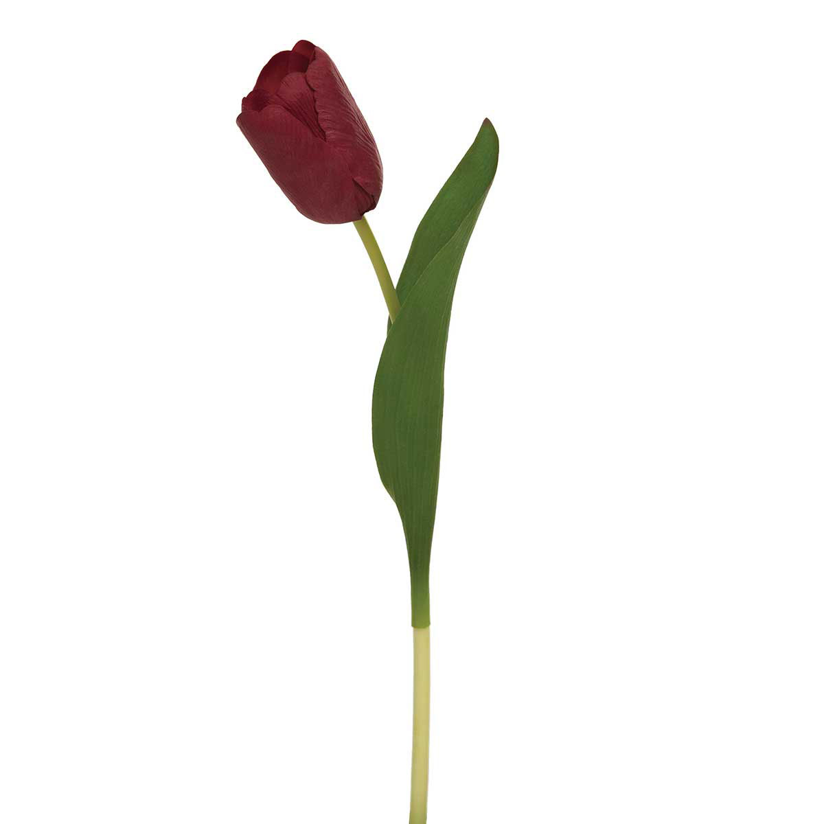 DUTCH REAL TOUCH TULIP STEM 2"X14" RED